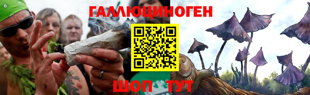 Галлюциногенные грибы Cubensis Тосно